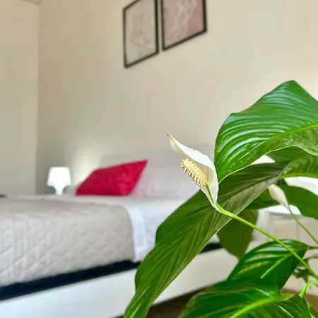Apartment Casa Gabry