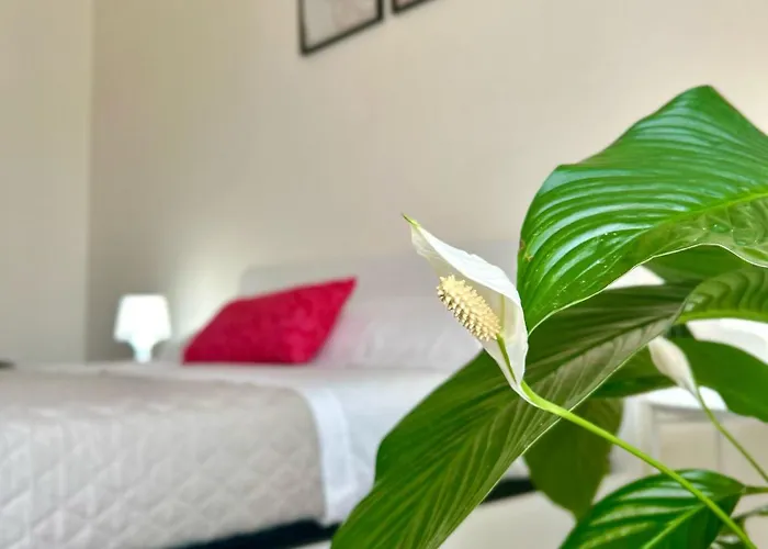 Apartment Casa Gabry